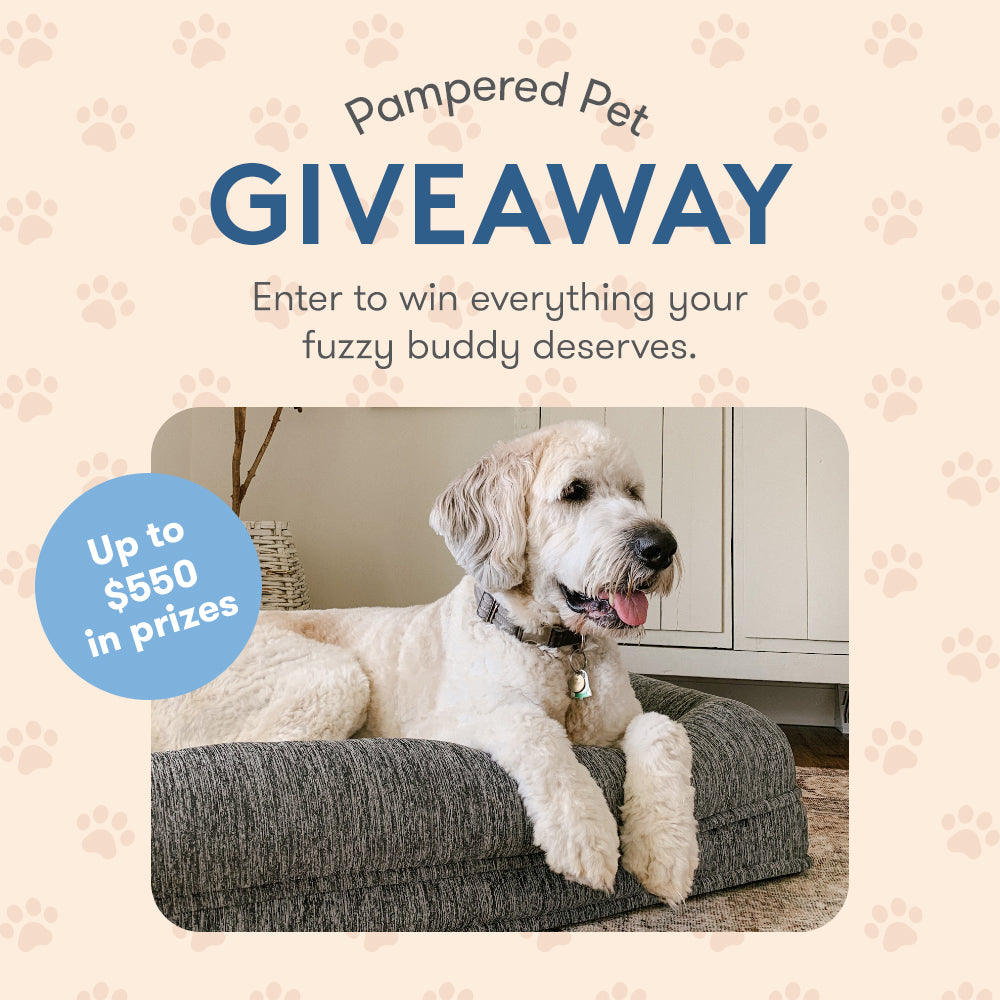 dog giveaway