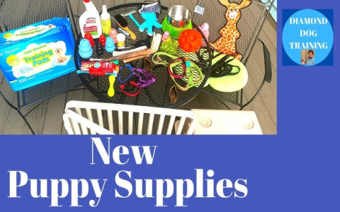 free stuff for new puppy owners