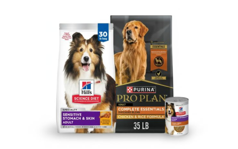 petsmart south county