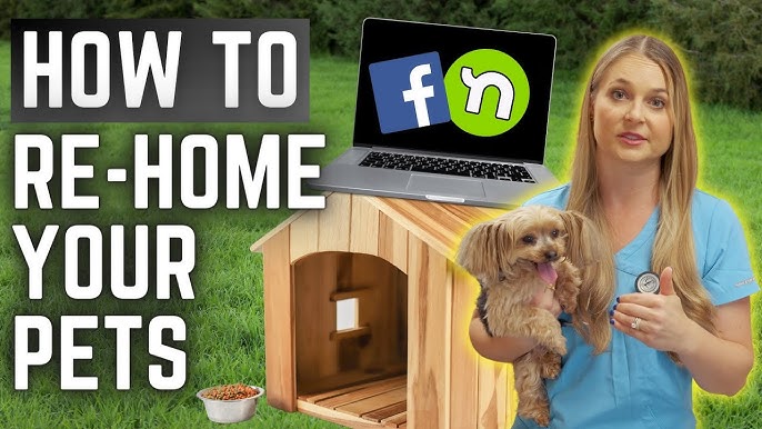 how to find a home for a dog