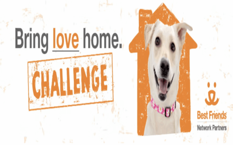 best friends animal society network partners