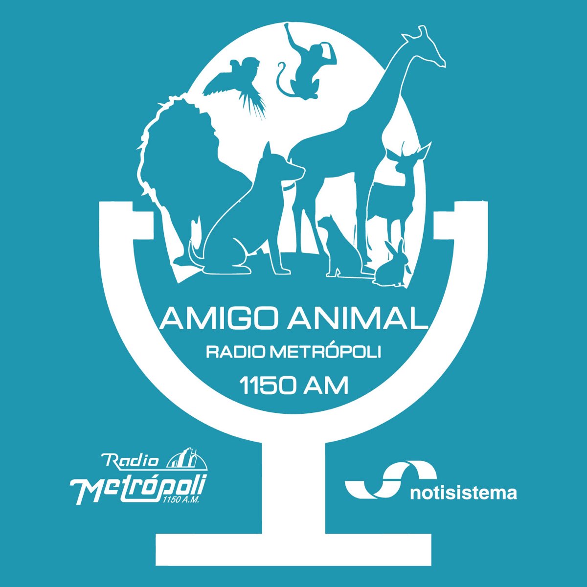 amigo animal