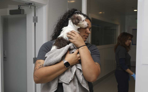 animal rescue groups