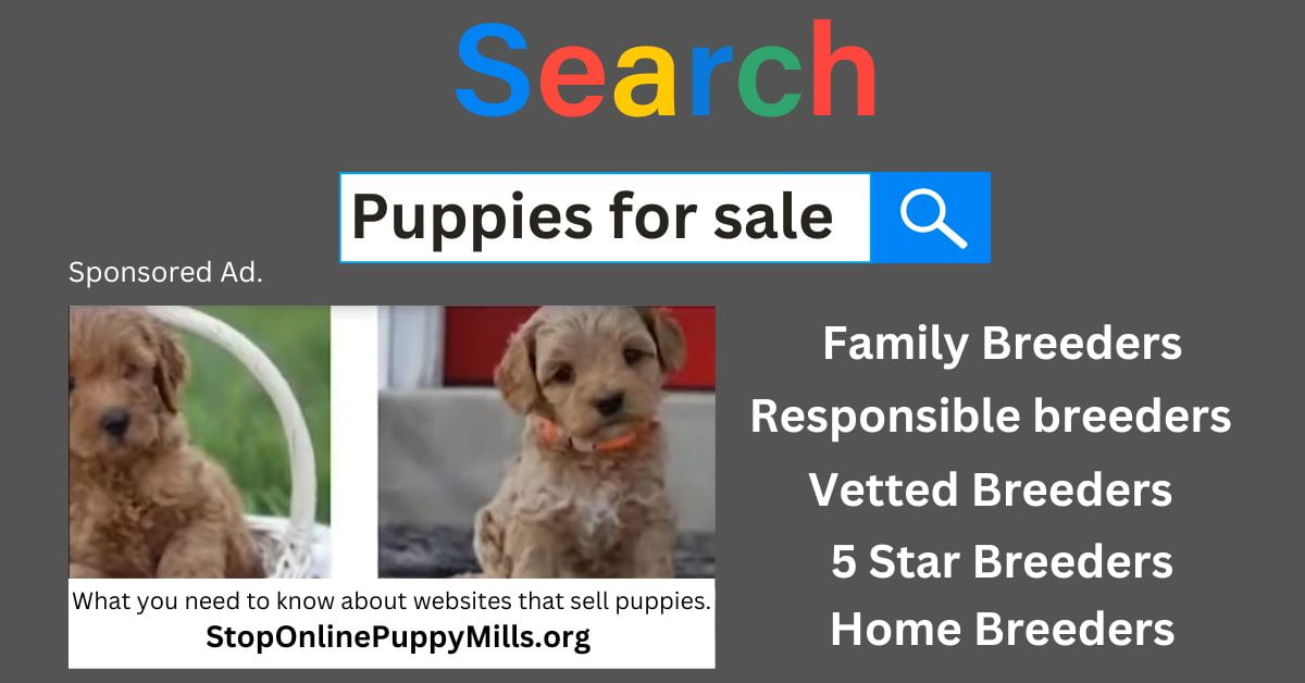 sell my puppies online