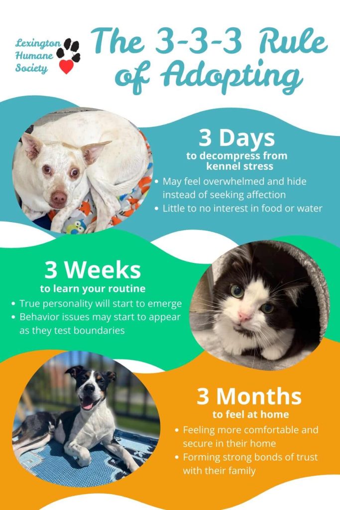 fayette county humane society ky