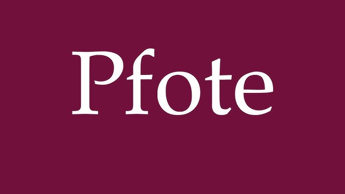 how to say paw in german