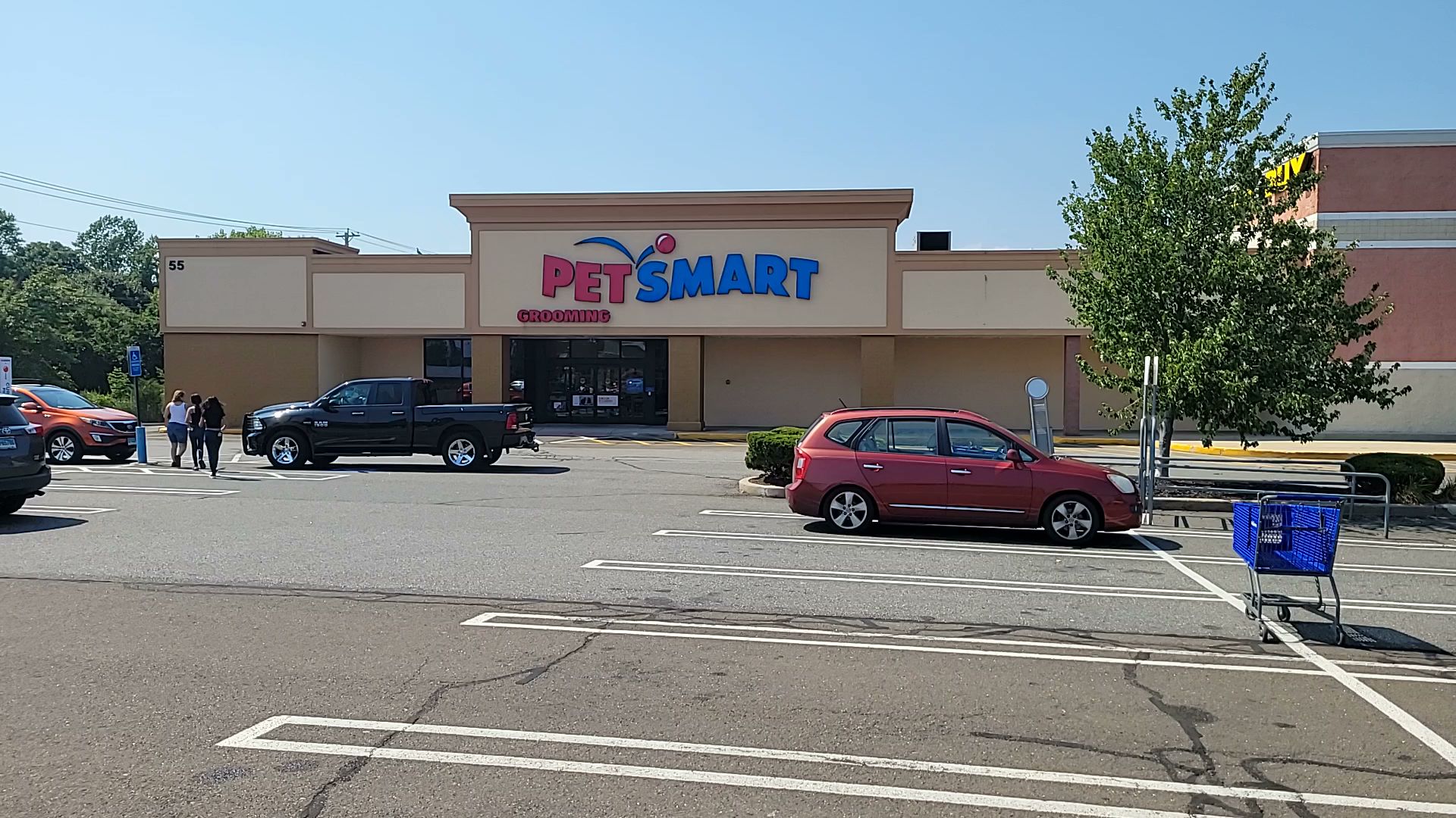 pet smart in ct