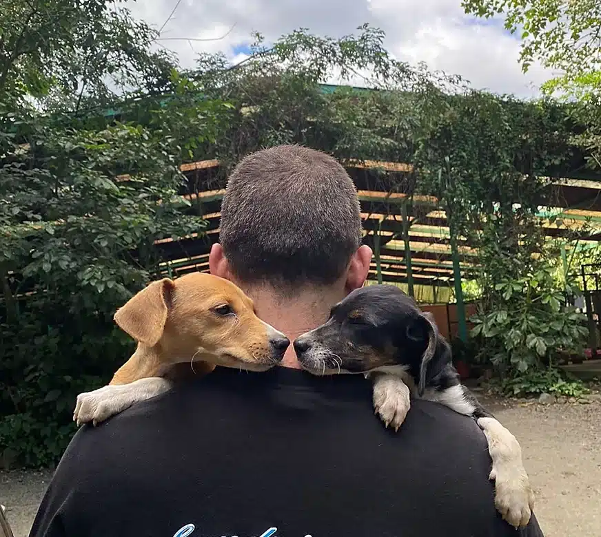 animal love rescue center costa rica