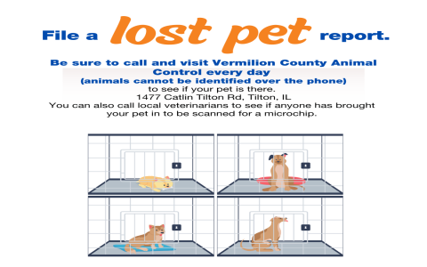 lost pets springfield il