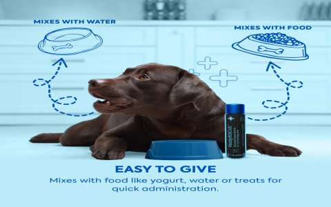 ready rescue for dogs