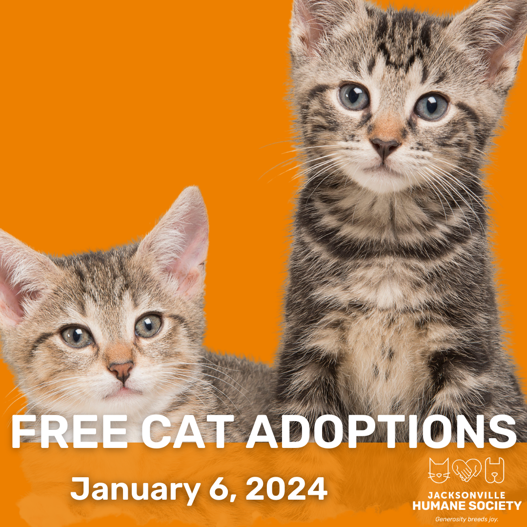 petsmart kittens for adoption near me free