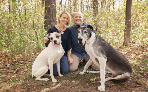 arizona great dane rescue