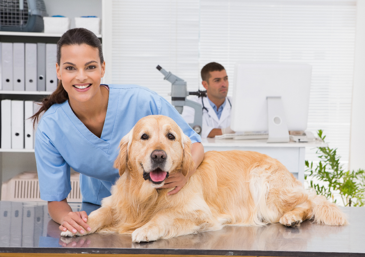 pet care near me for dogs