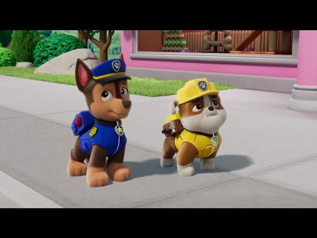 pups save a pet show