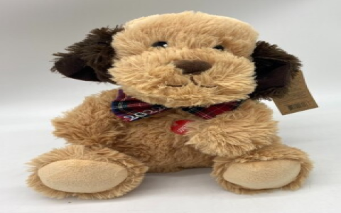 petsmart dogs near me