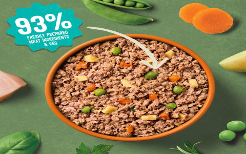 best food for labradoodle