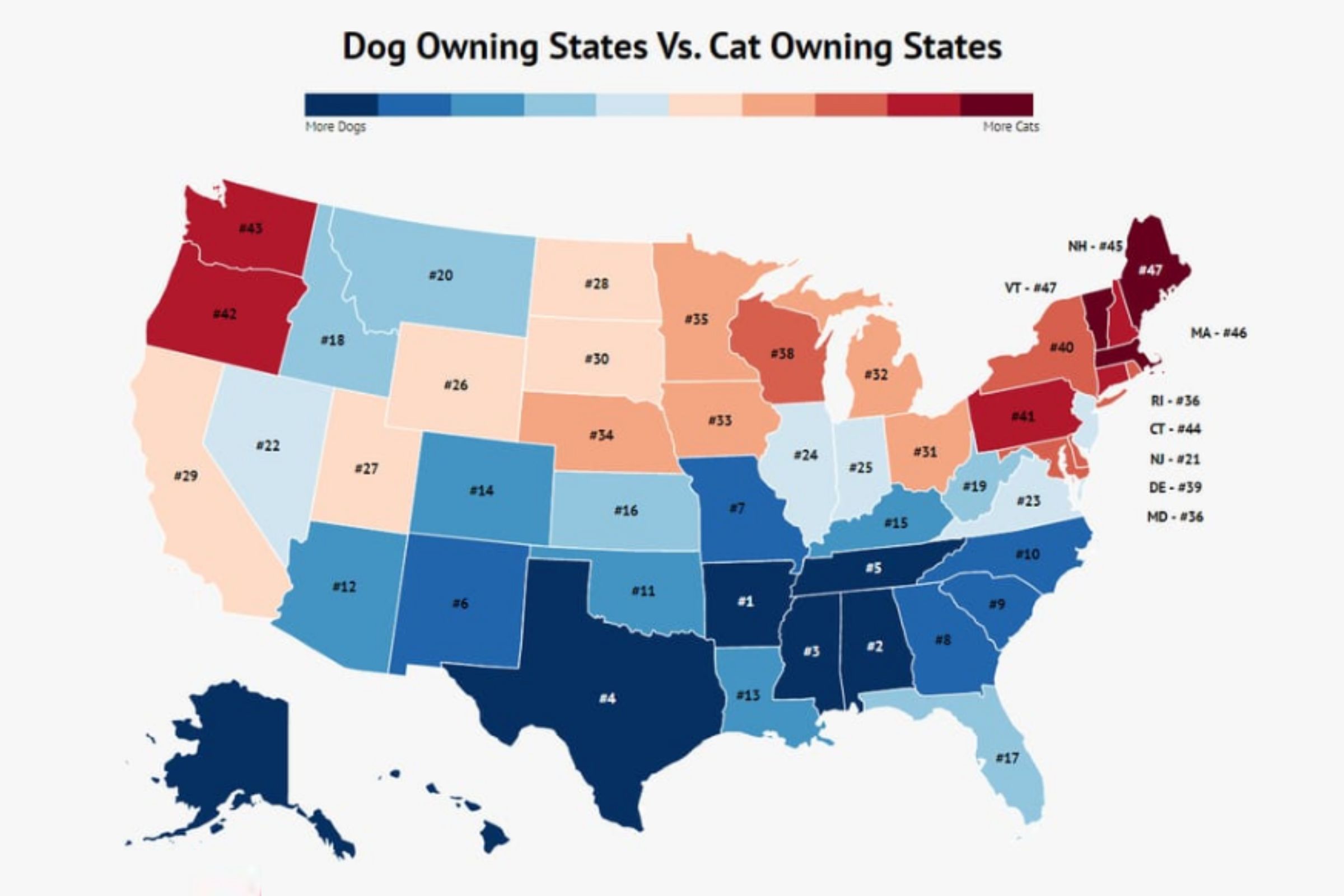 are there more cats or dogs in the united states