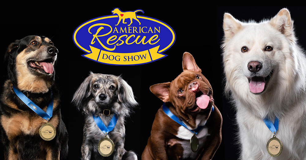 best in rescue dog show