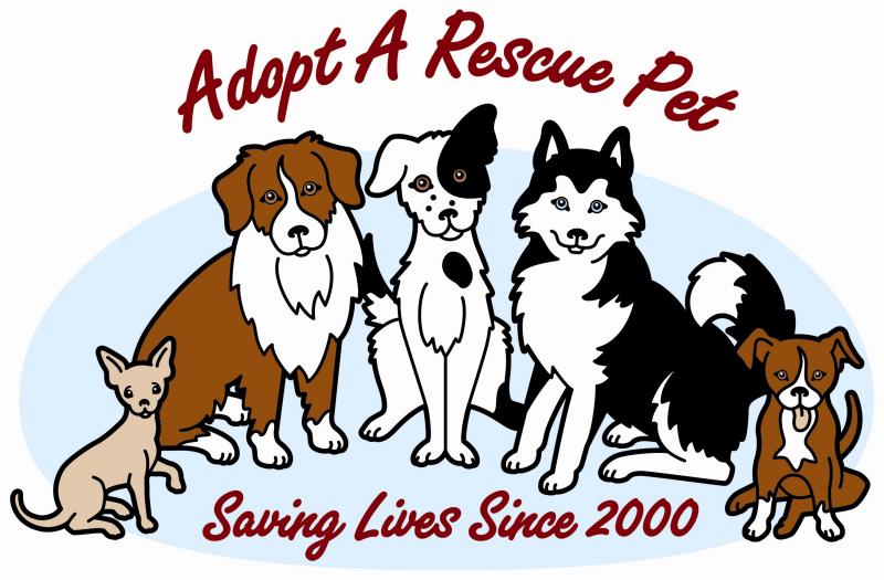 adopt a rescued pet