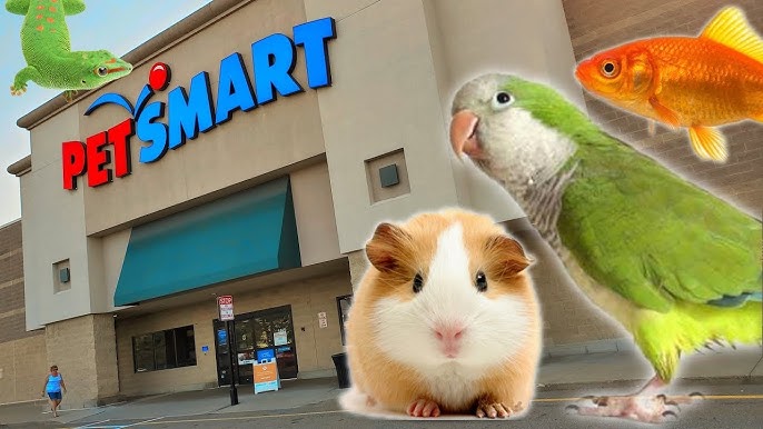do petsmart sell pets