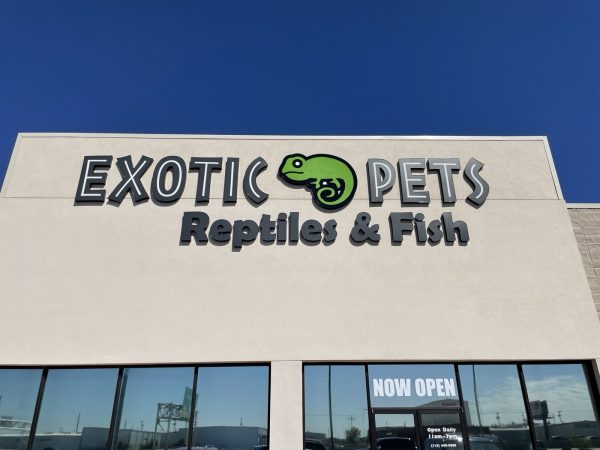 pet stores nearby