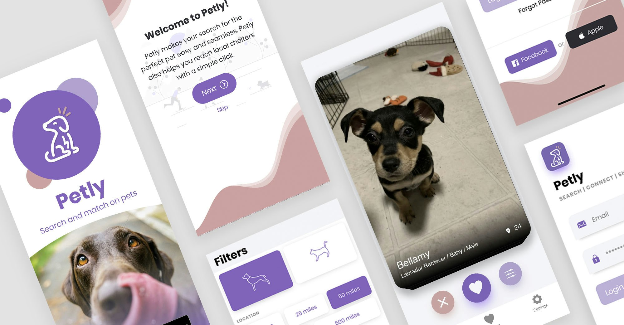 adopt dog app