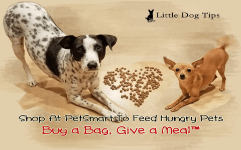 do they sell puppies at petsmart