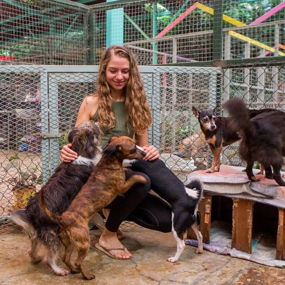 animal love rescue center costa rica