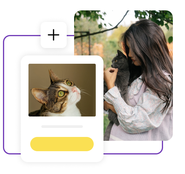 cat selling websites