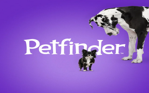 petfinder metairie