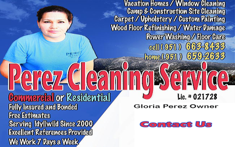 exotic cleaning services near me