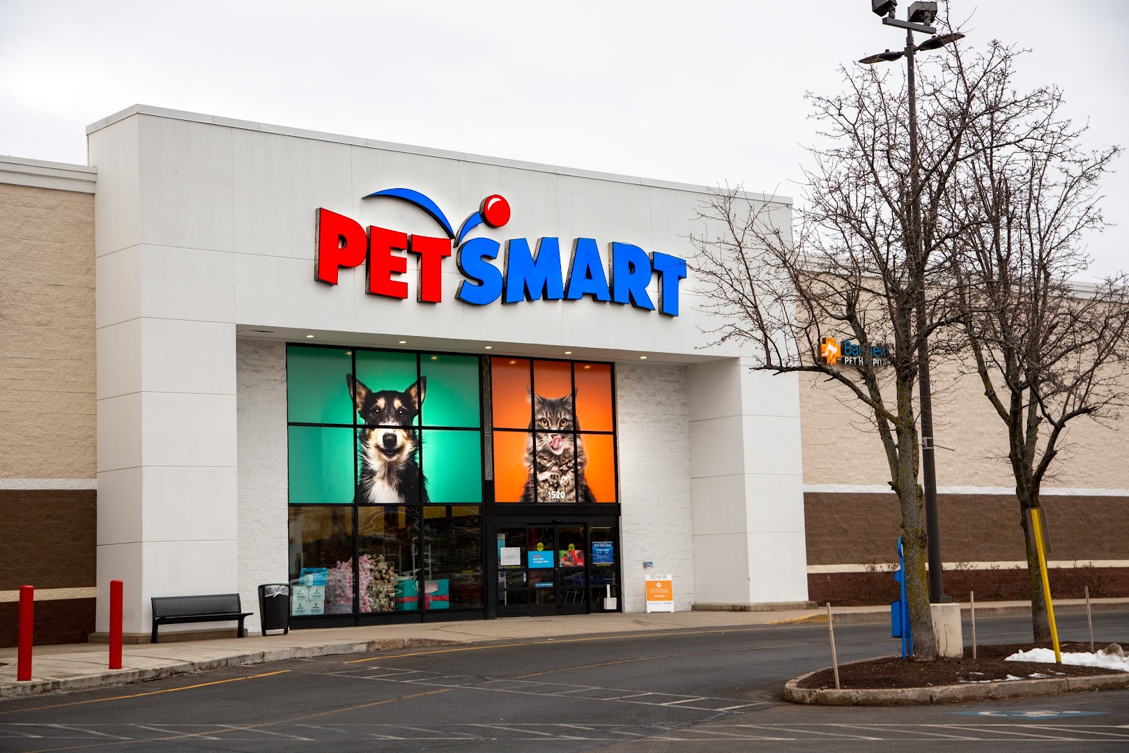 pet smart in ct