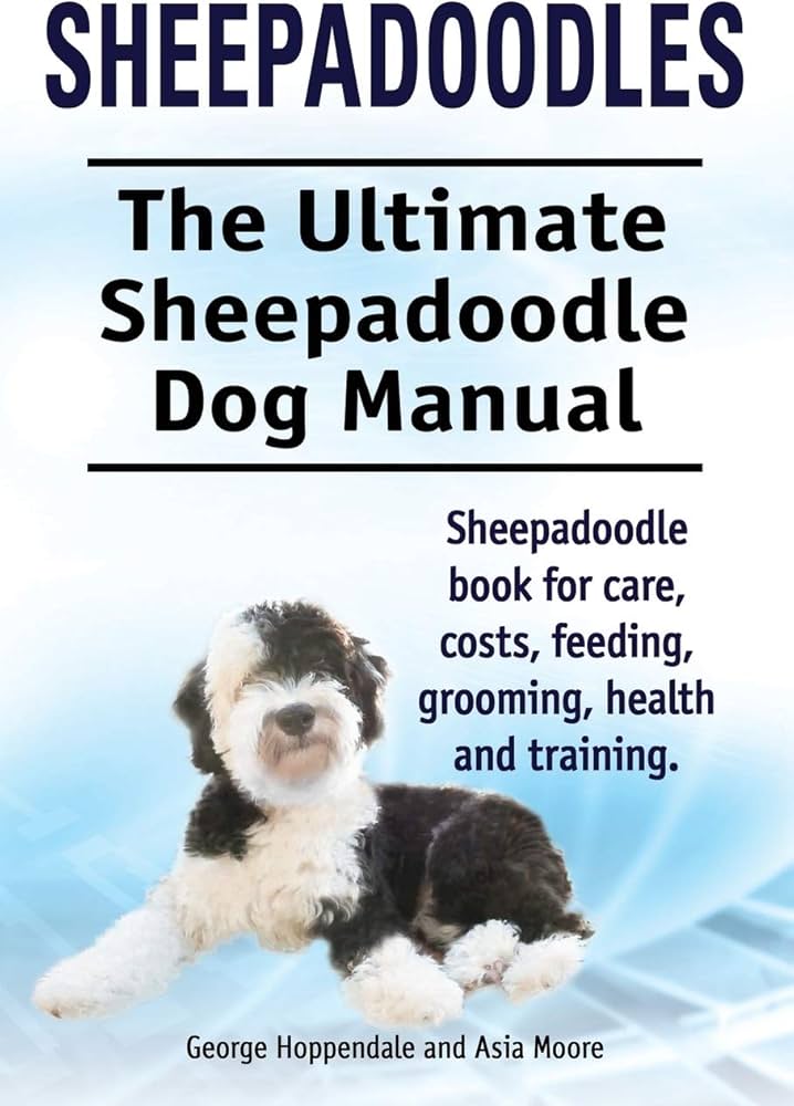 training a sheepadoodle