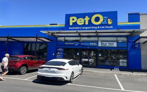 best friends pet shop