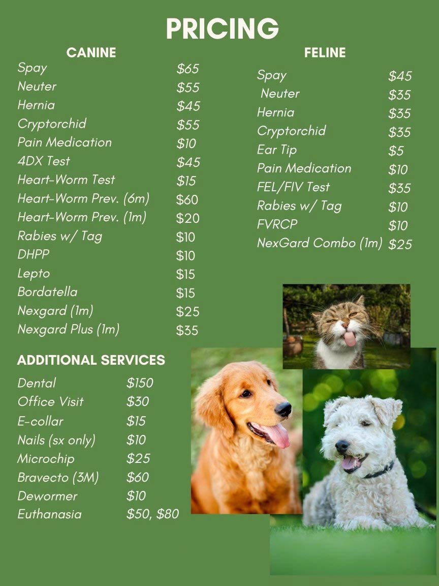 pet care near me for dogs