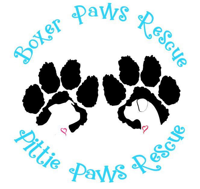 boxer paws rescue