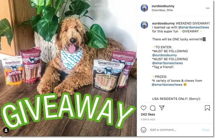 dog giveaway