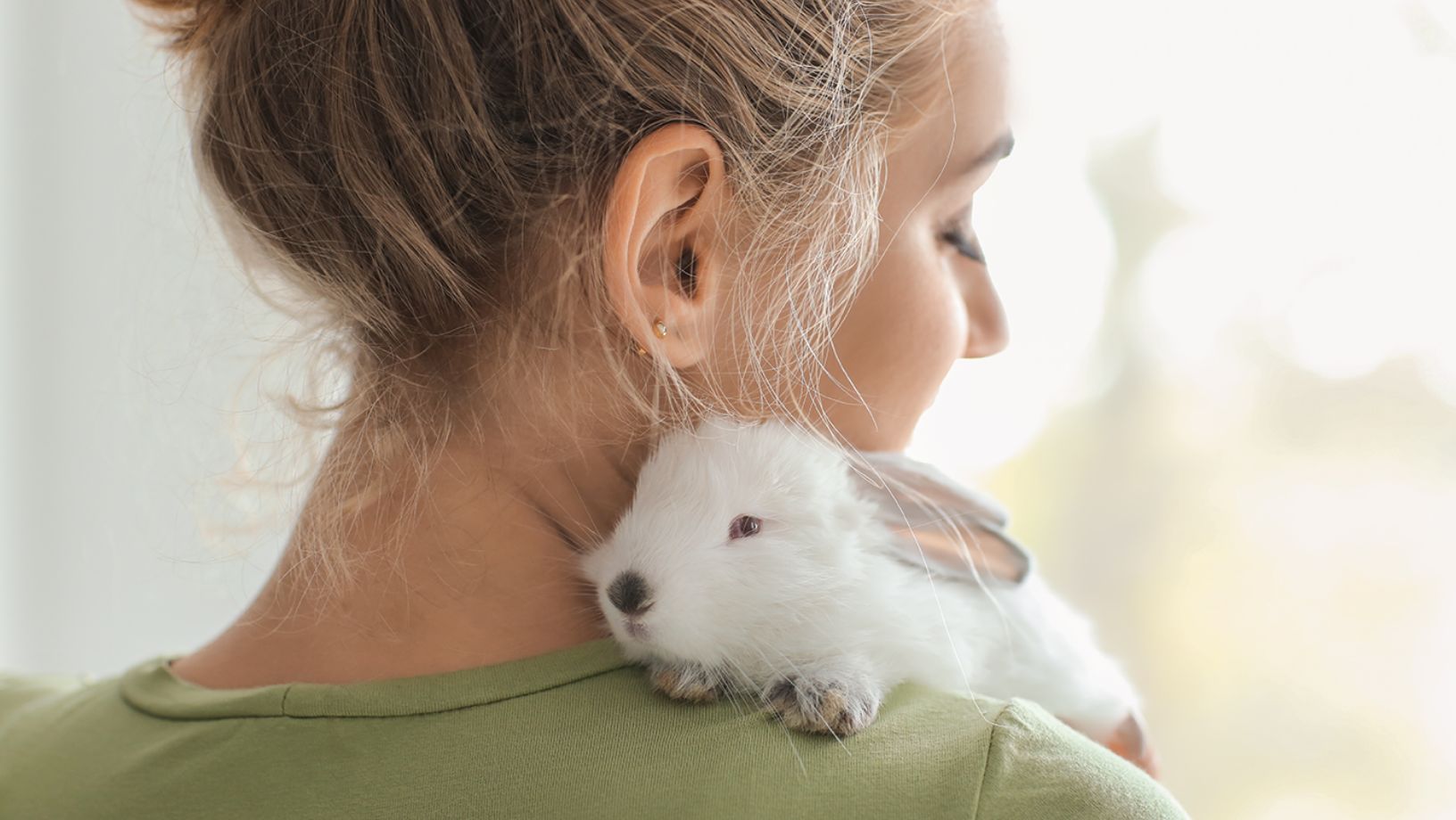 does petsmart sell bunnies