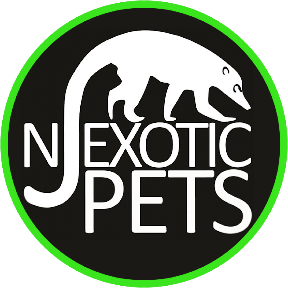 exotic pet store nj