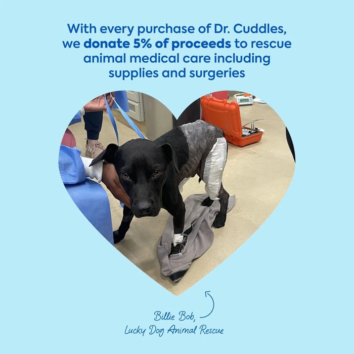 ready rescue for dogs