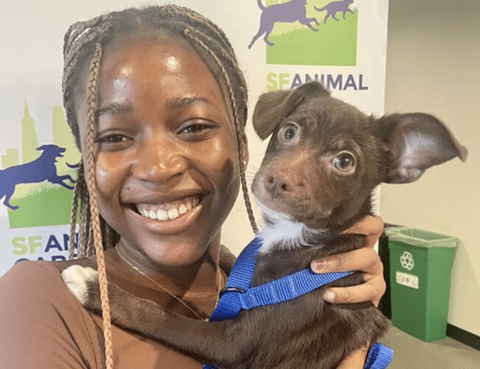 open pet shelters near me