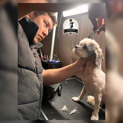 chester mobile grooming pets