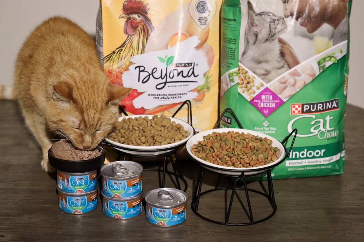 is purina good for cats