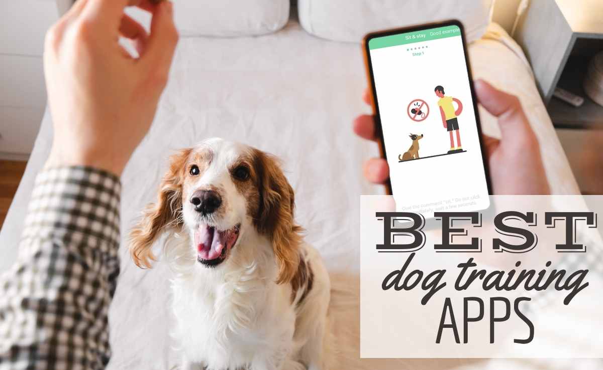 best puppy training app