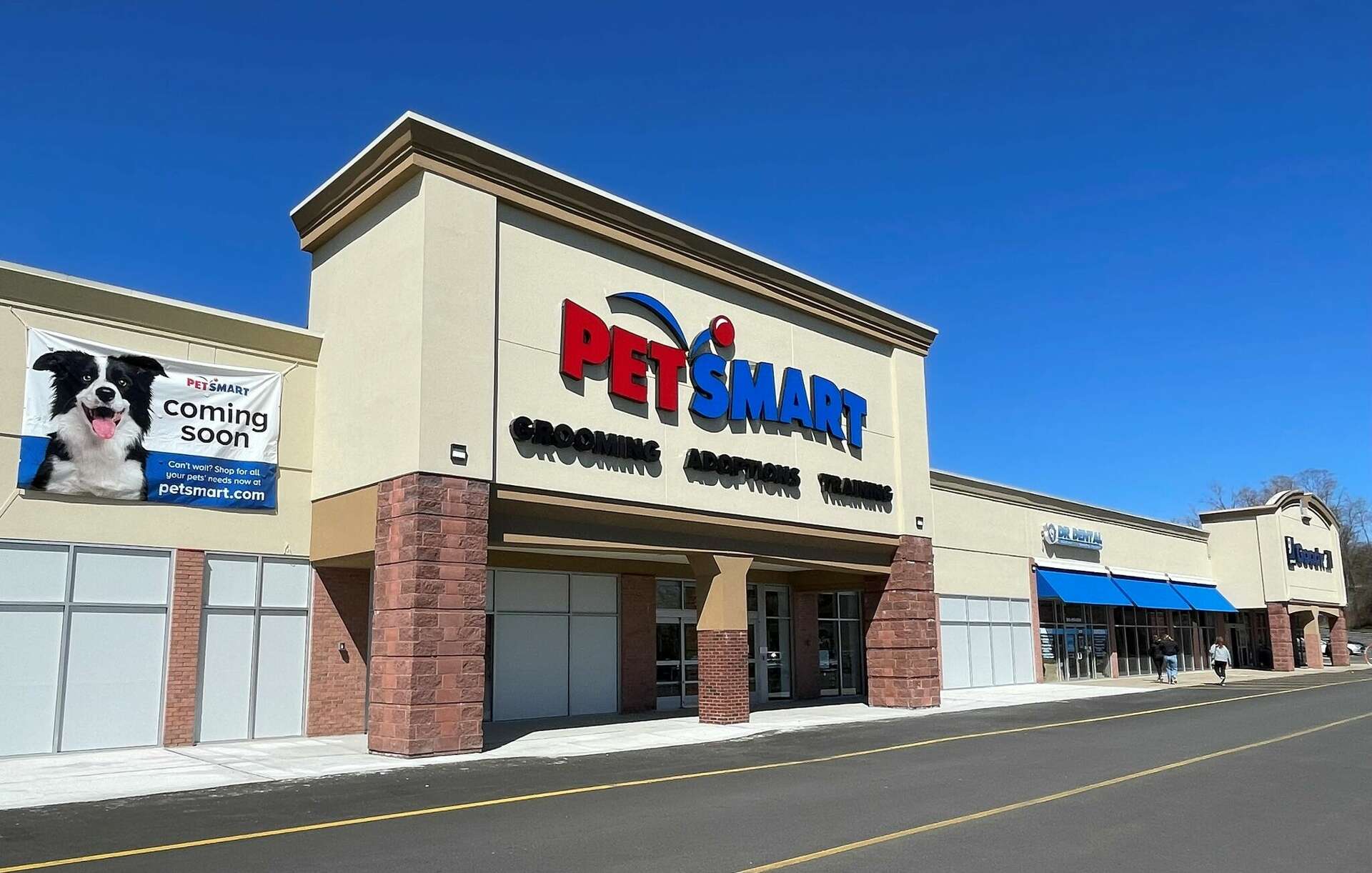 pet smart in ct