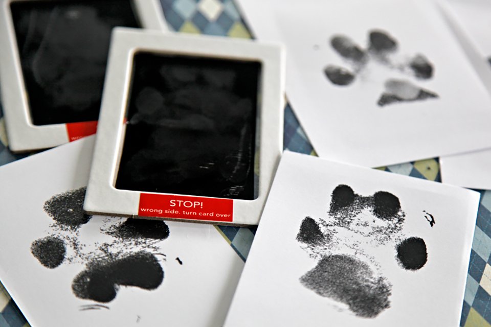 best way to get dog paw print