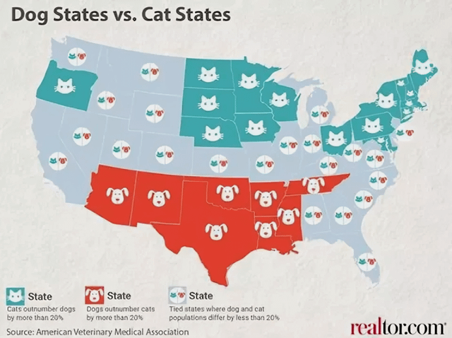 are there more cats or dogs in the united states