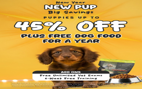 where can i get a free puppy