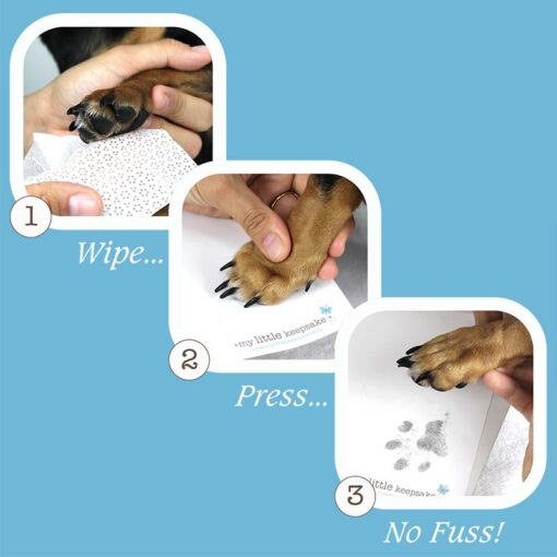 best way to get dog paw print