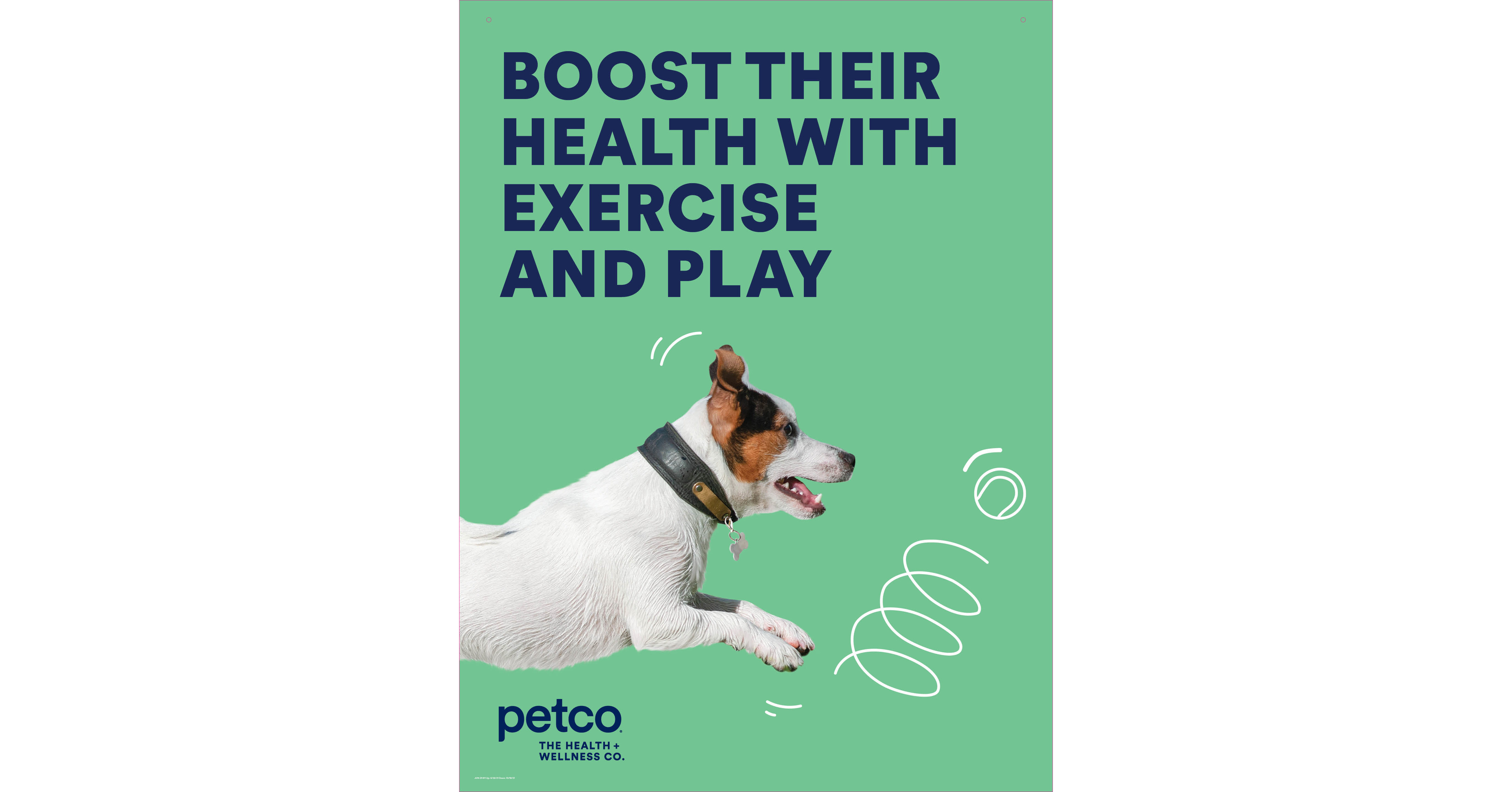 petco flyer